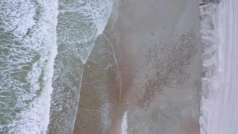 Aerial of Beach Waves Stock-Footage 145370356