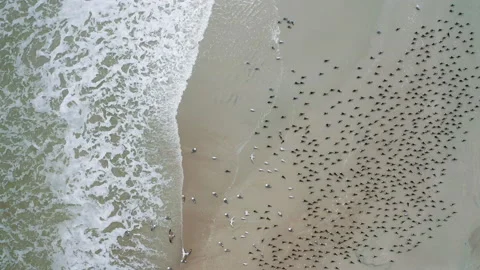 Aerial of Beach Waves Stock Footage 145385393