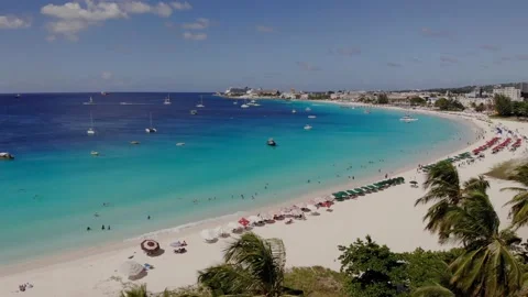Aerial of the beautiful beach in Barbados. Drone flying dolly over palm trees Stock Footage