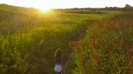 Aerial Of Beautiful Brunette Woman Hiking Through Tall Reeds At Sunset Slow Mo Stock Footage