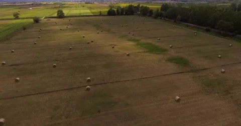 Aerial, beautiful cultivated fields and hay rolls in Tuscany Stock-Footage 80132773