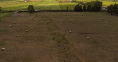 Aerial, beautiful cultivated fields and hay rolls in Tuscany Stock Footage