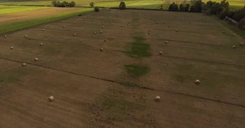 Aerial, beautiful cultivated fields and hay rolls in Tuscany 動画素材 80719077