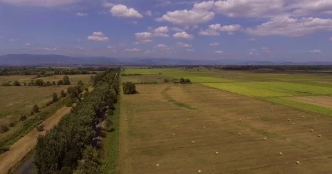 Aerial, beautiful cultivated sunflower fields and hay rolls in Tuscany 스톡 동영상 80997895