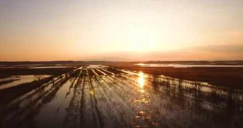 Aerial, beautiful fall landscape on a big pond  on sunset with low water and  스톡 동영상 100539464