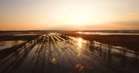 Aerial, beautiful fall landscape on a big pond  on sunset with low water and  Video stock 102159766