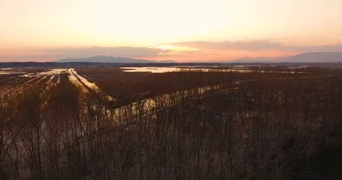Aerial, beautiful fall landscape on a big pond  on sunset with low water and  스톡 동영상 105944822