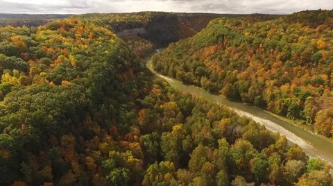 Aerial of beautiful Letchworth State Park during autumn Vidéo 63741753