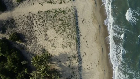 Aerial, beautiful panoramic view on Wangetti beach in Cairns in Queensland, A Stock-Footage 101014751