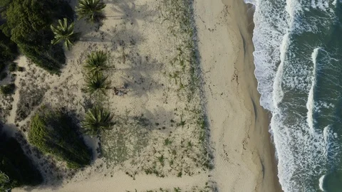Aerial, beautiful panoramic view on Wangetti beach in Cairns in Queensland, A Vídeo Stock 105800381