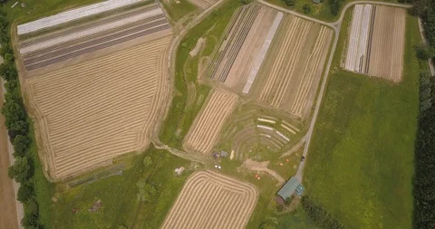 Aerial of beautiful patchwork field and green trees Stock Footage 103826465