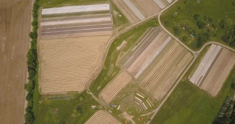 Aerial of beautiful patchwork field in the rural area Video stock 103826198