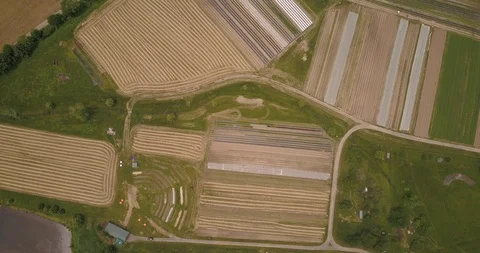 Aerial of beautiful patchwork field in the rural area Stock Footage 103826389