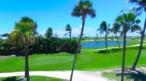 Aerial - Beautiful view of Golf Course next to ocean going up next to palm tr Stock Footage 66240813