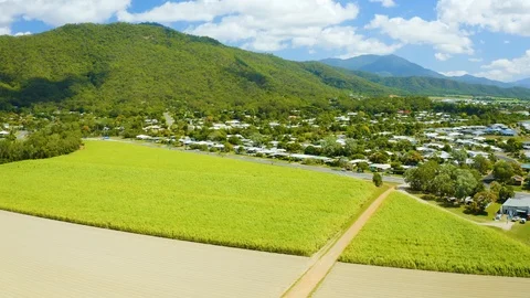 Aerial, beautiful view on sugar cane plantation in tablelands in Queensland,  Vídeos de archivo 118538221