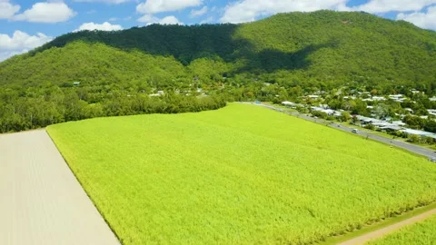 Aerial, beautiful view on sugar cane plantation in tablelands in Queensland,  스톡 동영상 130474635