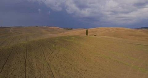 Aerial, beautiful view on tuscan fall landscape with a lonely cypress tree in 스톡 동영상 99442616