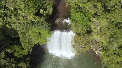 Aerial: Beautiful waterfall surrounded by pristine jungle in tropical queensland 스톡 동영상 114425163