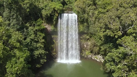 Aerial: Beautiful waterfall surrounded by pristine jungle in tropical queensland Stock Footage 114425164