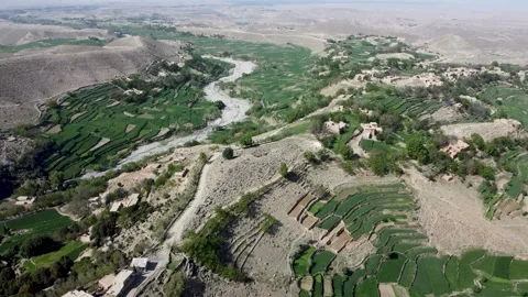 The Aerial Beauty of Crop Fields Video stock 274473806