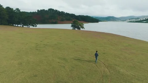 Aerial Beauty, Single Pine Tree and Suoi Vang Lake, Dalat Vietnam Stock Footage 296175286