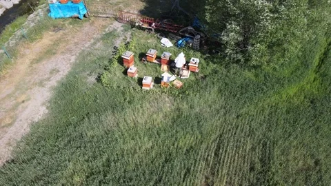 Aerial beekeeper nature Stock Footage 240729852