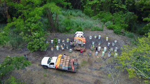 Aerial beekeepers 5 Stock Footage 83228337