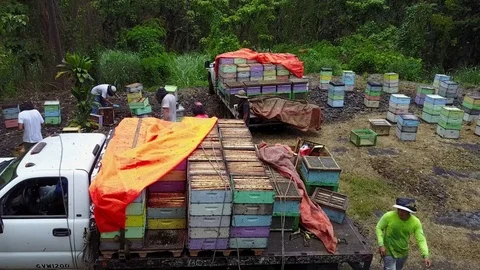 Aerial beekeepers 6 Stock Footage 83228496