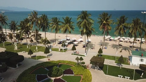 Aerial between beautiful coconut trees beach city promenade blue ocean waves  Stock Footage 107121674