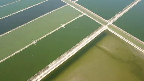 Aerial of the big fish pond Stock Footage