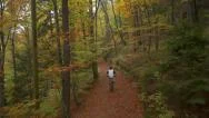 Aerial: Biking In Beautiful Autumn Forest Stock Footage