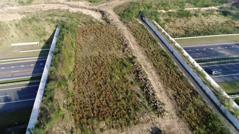 Aerial bird view arriving at wildlife crossing focussing on animal overpass Stock Footage