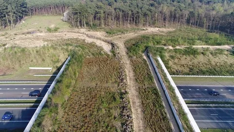 Aerial bird view flying backward over wildlife crossing animal overpass 4k Stock Footage 77626017