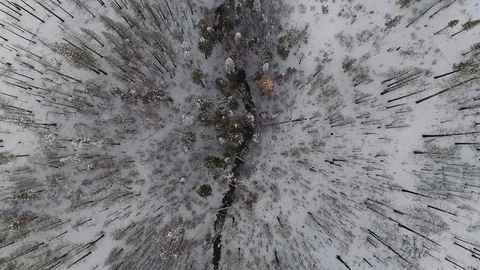Aerial birds eye looking down at a creek in forest during winter. Snowy ground. Video stock 104232028