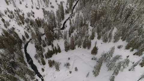 Aerial birds eye looking down at snow covered forest with creek. In California. 库存影片 104239360