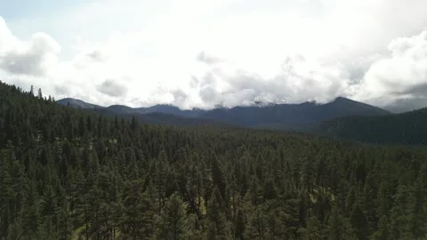 Aerial of Bitterroot National Forest in Montana in springtime Stock Footage 311792653