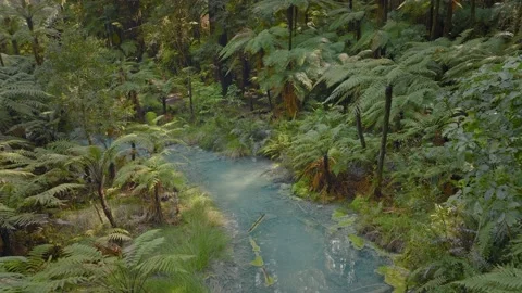 Aerial of blue geothermal spring in the forest, Rotorua, New Zealand Vidéo 218486377