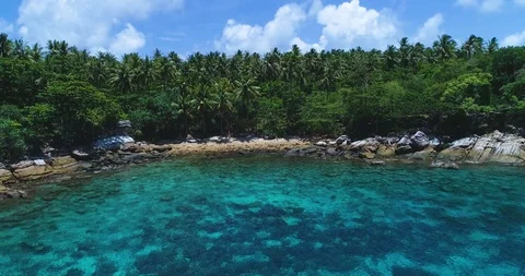 Aerial: Blue lagoon with a beach and palm trees on the shore. Stock Footage 96769341