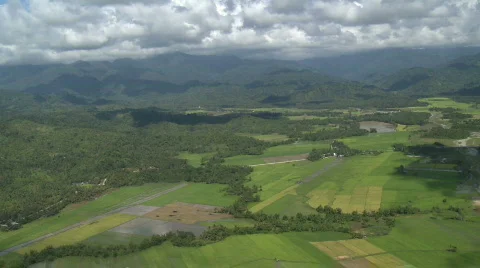 Aerial of border between jungle and rural green fields, rice and rain forest Stock Footage 638050