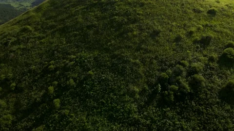 Aerial, From Bottom to Top, Mountains Range, Ocean, Summer, Deciduous Forest Stock Footage 163097166