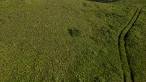 Aerial, Bottom to Top, Mountains Range, Ocean, Summer, Deciduous Forest Stock Footage 163097218