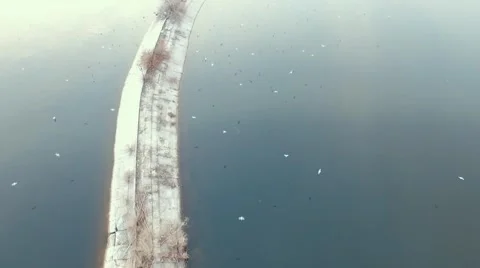 Aerial: breakwater Stock Footage 61887775