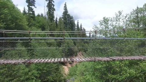 Aerial Bridge in Forest 動画素材 111032580