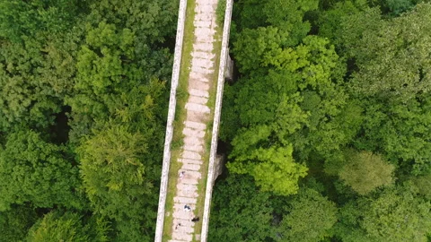 Aerial Of A Bridge In A Forest Stock Footage 221859185