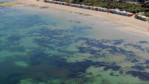 Aerial of Brighton Bathing Boxes in Melbourne from the ocean, reveal shot 스톡 동영상 97149055