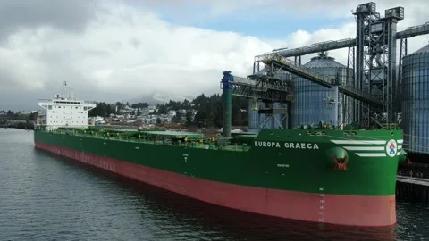 Aerial: Bulk freighter being loaded with pellets Stock Footage 150121575