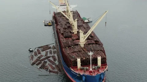 Aerial: Bulk freighter with a deck load of log bundles Stock Footage 149900126
