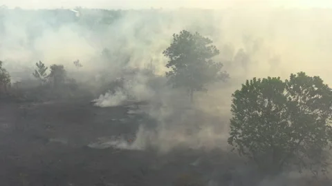 Aerial of Burning Peat Between Two Trees, Indonesia Stock Footage 142508327