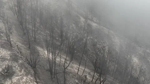 Aerial of a burnt mountainside from a recent wildfire. Stock-Footage 333203234