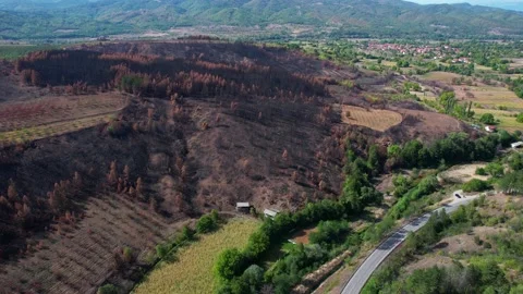 Aerial of burnt surface. 4K Drone video. Stock Footage 164880622